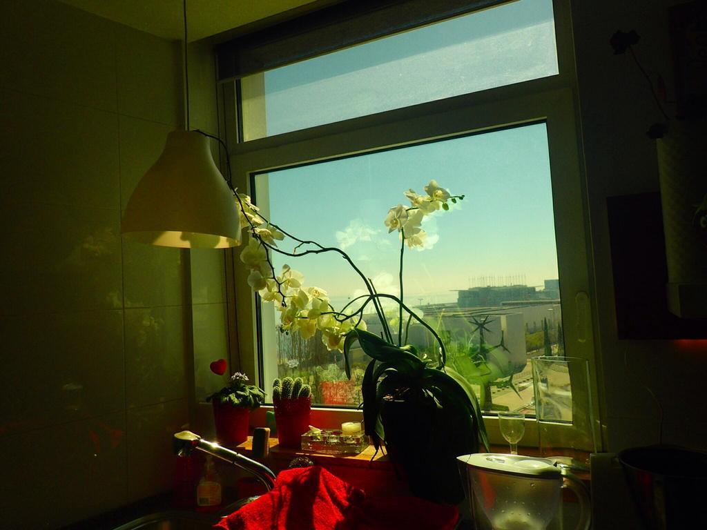 Lxriverside Suite Apartment リスボン エクステリア 写真